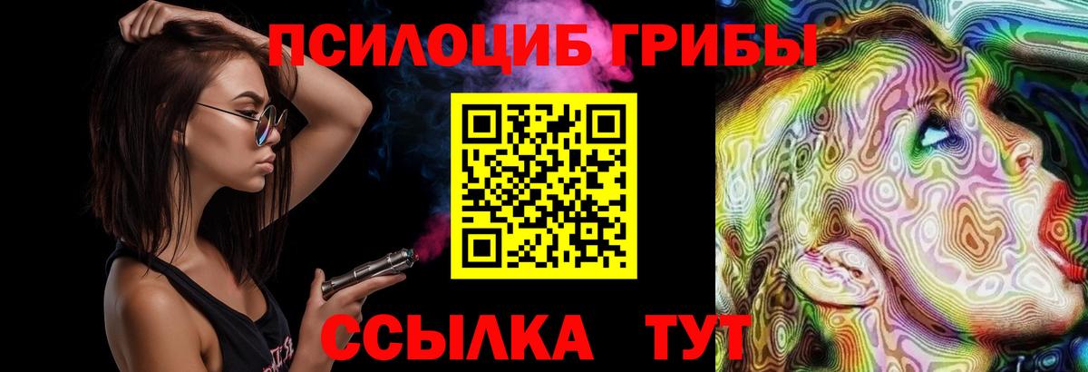 Галлюциногенные грибы Cubensis Искитим