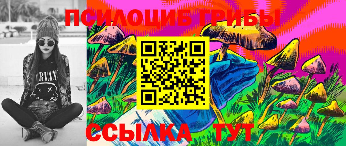 Искитим  Псилоцибиновые грибы Psilocybe  Вход с VPN 