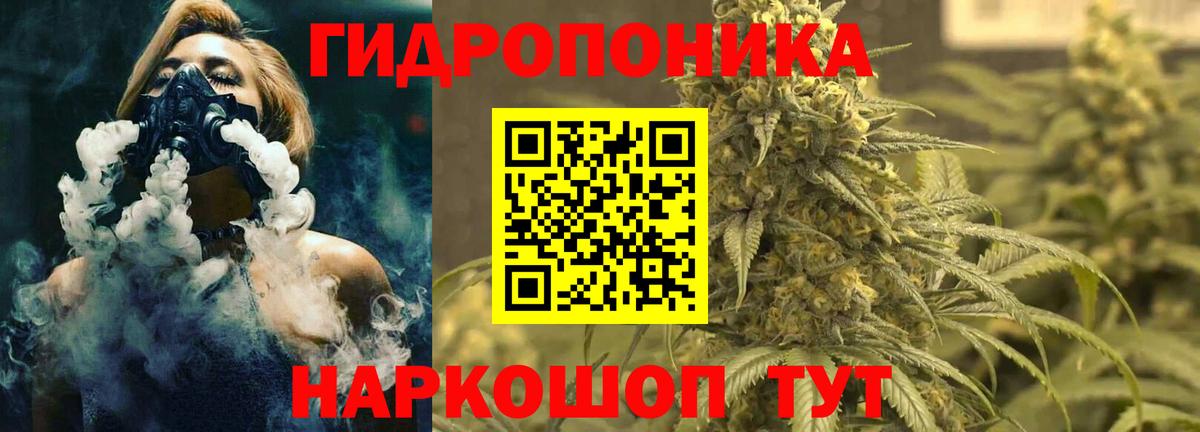 Канабис сатива Искитим